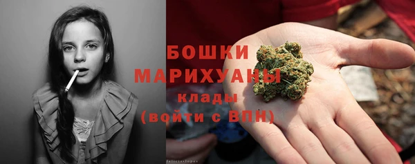 СК Бородино