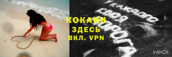 СК Бородино