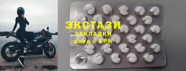 прущие грибы Богданович