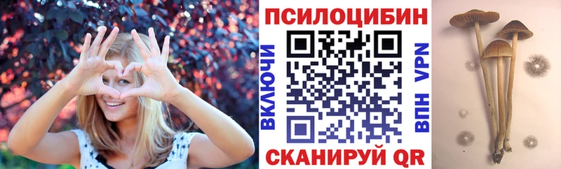 Купить  Пошехонье  Псилоцибиновые грибы Magic Shrooms 